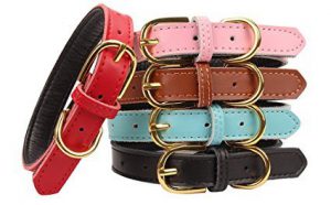 AOLOVE Leather Pet Collar