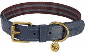 Blueberry Polyester Fabric and Genuine Leather Collar