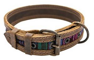 Hide and Drink Rustic Dog Collar