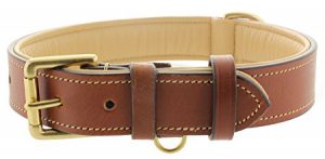 Kingston Leather Padded Dog Collars