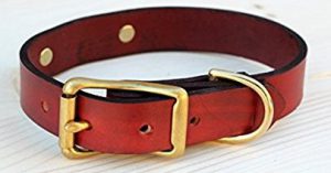 Magnus Dog Collar