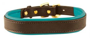 Perri Leather Dog Collars