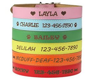 Personalized Embroidered Leather Dog Collar