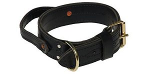 Signature K9 Dog Collars