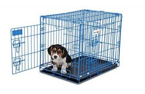 Aspen Pet Puppy 2-Door Training Retreat Crate