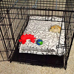 DII Bone Dry Microfiber Pet Blanket