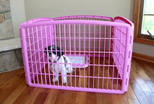 IRIS Pet Playpen Pet play exercise