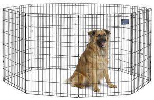 MidWest Dog Foldable Playpen