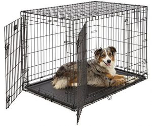 MidWest Homes for Pets Crate