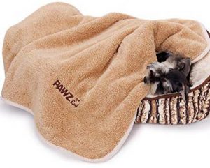 PAWZ Road Dog Blanket