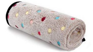 PAWZ Road Pet Dog Blankets