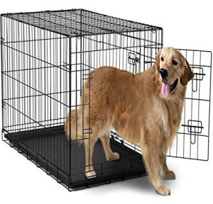 Paws & Pals Crate Double-Door Folding Crate