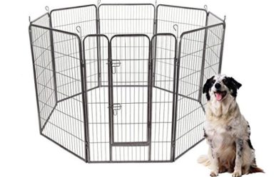 top-best-dog-playpen-reviews