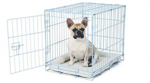 Single Door Metal Foldable Dog Crate