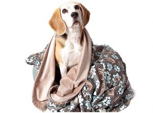 UTEX Premium Microfiber Pet Blanket