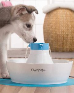 OWNPETS Dog Drinking Fountain