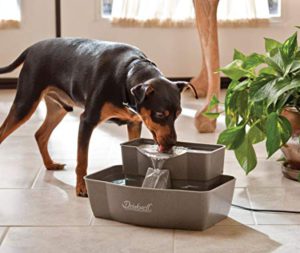 PetSafe Multi-Tier Dog Water Fountain