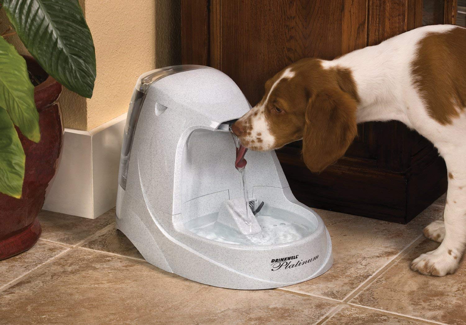 top-best-dog-water-fountain-review