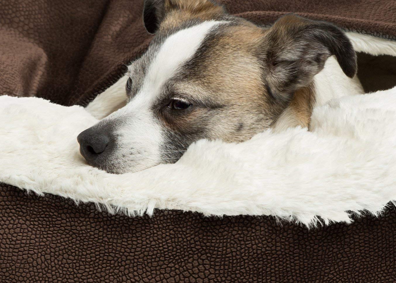 top-best-cave-dog-beds-review