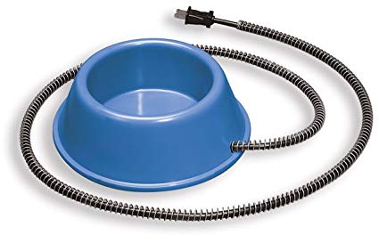 Allied Plastic Heated Pet Bowl, 1-Quart