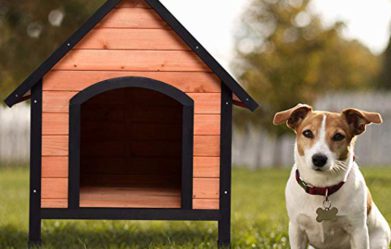 top-10-dog-houses-for-large-dog