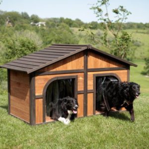 Duplex Wood Dog House (For 1 or 2 Dogs)