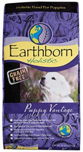 Earthborn Holistics Healthy dogs food