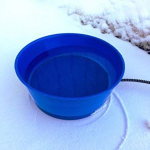 Farm Innovators Model R-19 Heated Pet Bowl