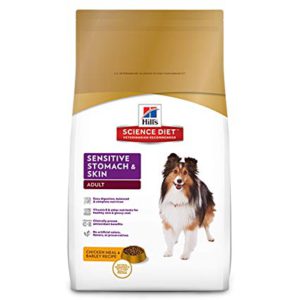 Hill’s Science Diet Most Healthy Dog Food