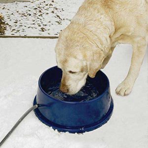 K&H Pet Products Thermal-Bowl Outdoor Heated Water Bowl