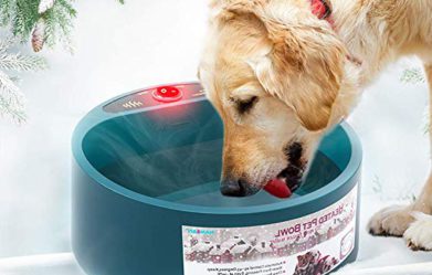 top-best-dog-heated-water-bowl-review