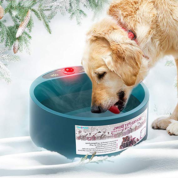 top-best-dog-heated-water-bowl-review