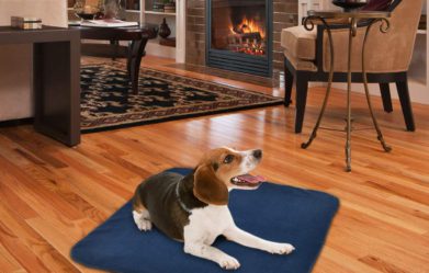 best-dog-heating-pads-review