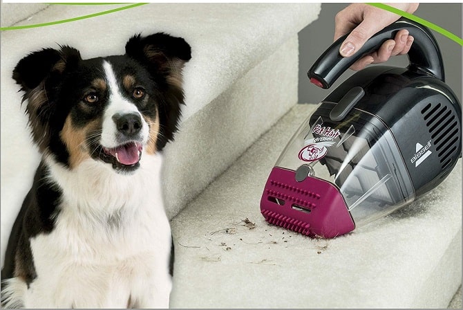 best-dog-hair-vacuum-cleaner-reviews