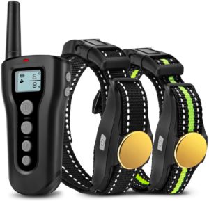 PATPET Dog Shock Collar with Remote