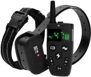 TBI Pro Dog Training Collar with Remote