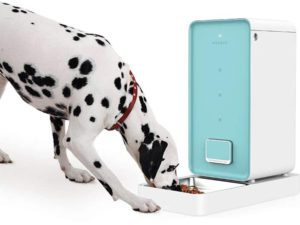 PETKIT Smart Automatic Dog Feeder