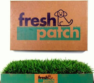 Fresh Patch Disposable Dog Potty with Real Grass