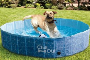 ALL FOR PAWS Bathing Dog Pool