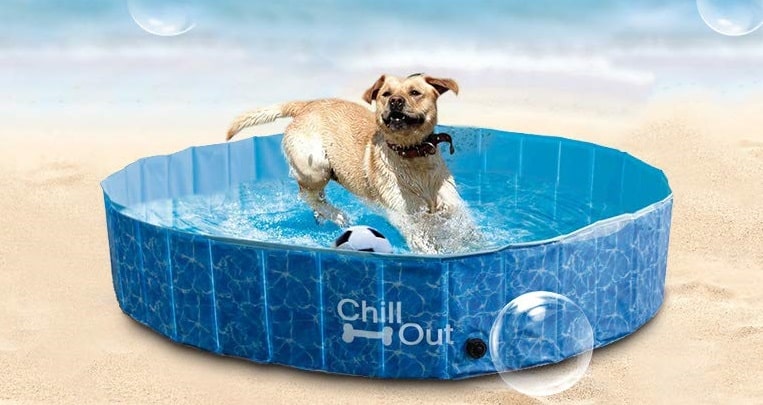 best-portable-dog-swimming-pools-reviews