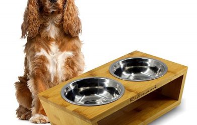 best-elevated-dog-bowls