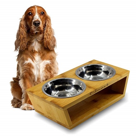 best-elevated-dog-bowls