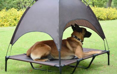 best-elevated-pet-cots-with-canopy