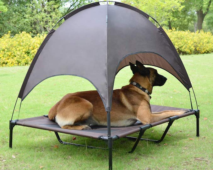 best-elevated-pet-cots-with-canopy