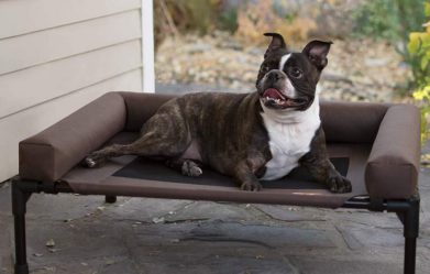 best-elevated-outdoor-dog-bed