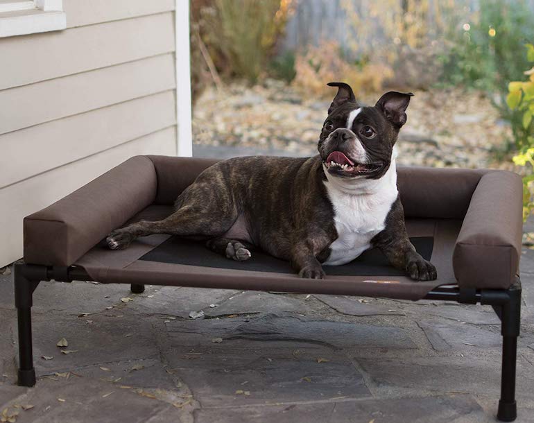 best-elevated-outdoor-dog-bed