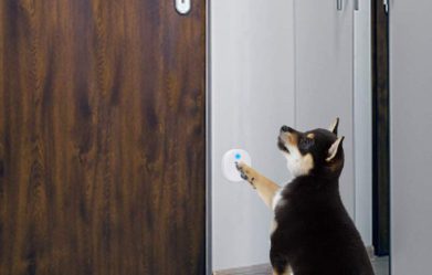 best-wireless-dog-doorbells-reviews