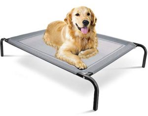 Paws & Pals Elevated Dog Bed