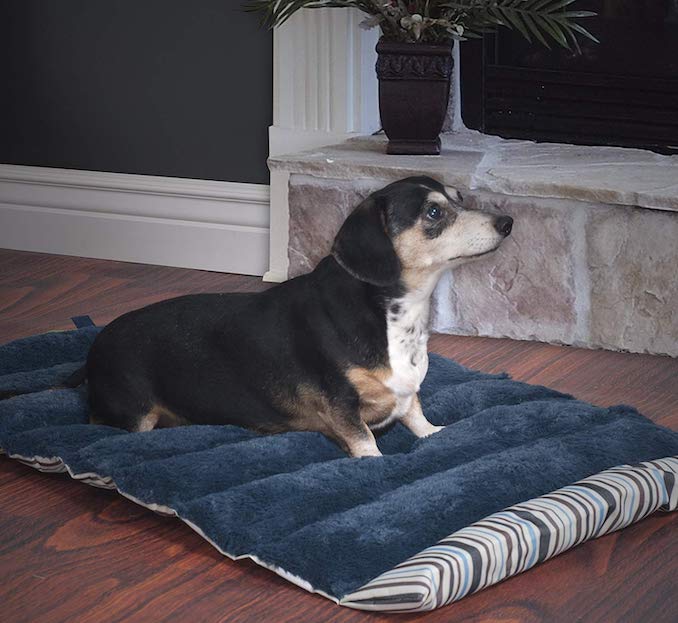 best-portable-roll-up-travel-dog-beds-reviews