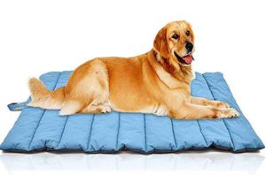 Elite Pet Products Pets Bed Mat